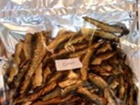 تولید ساردین ماهی دودی 