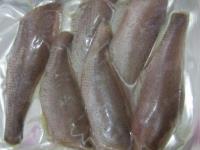 طرح ترویج فرهنگ مصرف فرآورده های متنوع از کپورماهیان در سایتهای الگویی با تاکید بر ماهی کپور نقره ای در استان خوزستان(خاتمه یافته)