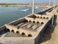 فیلتراسیون آب در مزارع پرورش میگو