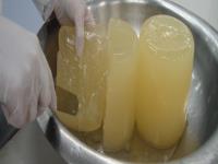 فرآیند تولید ژلاتین از زائدات آبزیان