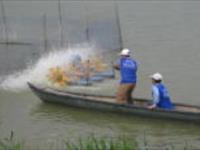 افزايش ضريب نفوذ طرح به 205 هكتار