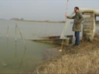 آبگيري آب بندان الگويي طرح محوري افزايش توليددرواحدسطح ماهيان گرمآبي( كپورماهيان چيني شامل كپورمعمولي،بيگ هد،فيتوفاگ وآمور) بااستفاده ازسيستم مكانيزاسيون درآببندانهاي استان مازندران