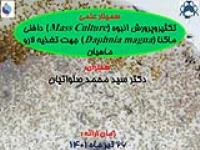 اسلایدویژن:تکثیروپرورش انبوه (Mass Culture) دافنی ماگنا (Daphnia magna) جهت تغذیه لارو ماهیان