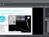 سخنرانی در نشست تخصصی بیوتکنولوژی دریا با عنوان «مکانیزم حرکت اسپرم و انجماد آن در ماهیان دریایی»