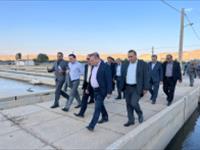مرکز تحقیقات ژنتیک ماهیان سردآبی یاسوج/ ظرفیتی راهبردی برای خودکفایی در تامین تخم‌چشم‌زده